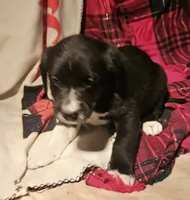 processed/b061dafd-19c4-4a4d-9ff3-c988b5916998/listing/0e11b321-2f8a-4500-be99-0008bfffec72/7c48c55a-4745-4383-8443-2f694f02bd94