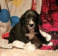 processed/b061dafd-19c4-4a4d-9ff3-c988b5916998/listing/0e11b321-2f8a-4500-be99-0008bfffec72/b290c73a-9adb-4931-bab6-f68132ed19c5