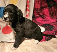 processed/b061dafd-19c4-4a4d-9ff3-c988b5916998/listing/0e11b321-2f8a-4500-be99-0008bfffec72/c7bf0241-aa70-4fc2-8dae-0d60c429a6ac