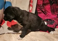 processed/b061dafd-19c4-4a4d-9ff3-c988b5916998/listing/0e11b321-2f8a-4500-be99-0008bfffec72/e34969ac-cc44-4960-8a25-b6066a0f3043