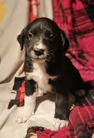 processed/b061dafd-19c4-4a4d-9ff3-c988b5916998/listing/0e11b321-2f8a-4500-be99-0008bfffec72/e716698a-e275-4617-9ebe-8d5ad0a3d889