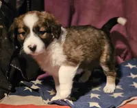 processed/b061dafd-19c4-4a4d-9ff3-c988b5916998/listing/0f18a42f-f052-40ac-8b7b-b6fc4d5658ed/19e1e227-04bc-4d72-b91a-b49315cb730d