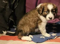 processed/b061dafd-19c4-4a4d-9ff3-c988b5916998/listing/0f18a42f-f052-40ac-8b7b-b6fc4d5658ed/435cfd7d-b89c-4b40-a004-05bc259bb8b4