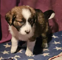 processed/b061dafd-19c4-4a4d-9ff3-c988b5916998/listing/0f18a42f-f052-40ac-8b7b-b6fc4d5658ed/911f1db6-dd24-4ceb-ac9f-7323e1362882