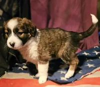 processed/b061dafd-19c4-4a4d-9ff3-c988b5916998/listing/0f18a42f-f052-40ac-8b7b-b6fc4d5658ed/ae961a23-2126-4d13-b408-06998f99191b