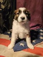 processed/b061dafd-19c4-4a4d-9ff3-c988b5916998/listing/0f18a42f-f052-40ac-8b7b-b6fc4d5658ed/b43eb64c-3c14-4435-91ac-729bbd3a6878