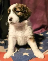 processed/b061dafd-19c4-4a4d-9ff3-c988b5916998/listing/0f18a42f-f052-40ac-8b7b-b6fc4d5658ed/dbdd2565-6863-444f-bf53-832c7bde64e4