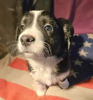 processed/b061dafd-19c4-4a4d-9ff3-c988b5916998/listing/364ec1dc-822d-45be-aea6-918b3fb5acab/27622b02-fd68-4de6-bc44-f7808be97925