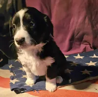 processed/b061dafd-19c4-4a4d-9ff3-c988b5916998/listing/364ec1dc-822d-45be-aea6-918b3fb5acab/35538cc1-c831-43c2-9480-4173b4a992c3