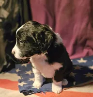 processed/b061dafd-19c4-4a4d-9ff3-c988b5916998/listing/364ec1dc-822d-45be-aea6-918b3fb5acab/36e13bb5-8cd8-49b6-9c4c-a4c45307fa5a