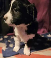 processed/b061dafd-19c4-4a4d-9ff3-c988b5916998/listing/364ec1dc-822d-45be-aea6-918b3fb5acab/5dc7497b-8c54-4827-8dab-b054090b9340