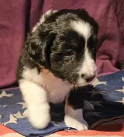 processed/b061dafd-19c4-4a4d-9ff3-c988b5916998/listing/364ec1dc-822d-45be-aea6-918b3fb5acab/74bb53c3-fef1-4dea-adea-2e6761e9d9e0