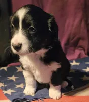 processed/b061dafd-19c4-4a4d-9ff3-c988b5916998/listing/364ec1dc-822d-45be-aea6-918b3fb5acab/7b367d58-3b97-4933-a3c4-d5f11da31b25