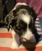 processed/b061dafd-19c4-4a4d-9ff3-c988b5916998/listing/364ec1dc-822d-45be-aea6-918b3fb5acab/9d90bf7f-63a7-42c4-b422-d722b4739ba5