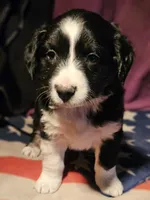 processed/b061dafd-19c4-4a4d-9ff3-c988b5916998/listing/364ec1dc-822d-45be-aea6-918b3fb5acab/cdf661e3-03e2-4efe-96c4-996cf6dfd7d4