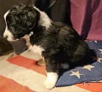 processed/b061dafd-19c4-4a4d-9ff3-c988b5916998/listing/364ec1dc-822d-45be-aea6-918b3fb5acab/d44b6adb-3270-4602-b4b0-20840cacf799