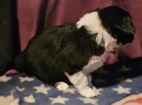 processed/b061dafd-19c4-4a4d-9ff3-c988b5916998/listing/364ec1dc-822d-45be-aea6-918b3fb5acab/e5762a70-d9bc-4c61-9d05-c295f972ab7f