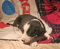 processed/b061dafd-19c4-4a4d-9ff3-c988b5916998/listing/a0caba20-f692-40ea-a225-998fe691f681/399ddd95-019e-43bf-ba24-6db36d37d7f3