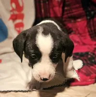 processed/b061dafd-19c4-4a4d-9ff3-c988b5916998/listing/a0caba20-f692-40ea-a225-998fe691f681/40b8dfbb-e1a6-4bb0-95c0-483b37ee1bfc