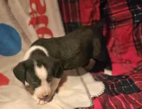 processed/b061dafd-19c4-4a4d-9ff3-c988b5916998/listing/a0caba20-f692-40ea-a225-998fe691f681/8e4bc2c0-5c03-40ca-a1f3-aa6c0a3e45ab