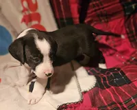 processed/b061dafd-19c4-4a4d-9ff3-c988b5916998/listing/a0caba20-f692-40ea-a225-998fe691f681/a99d0af3-d906-4a5c-ac4c-ad33b9f52ecd