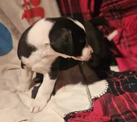 processed/b061dafd-19c4-4a4d-9ff3-c988b5916998/listing/a0caba20-f692-40ea-a225-998fe691f681/b7872de1-218c-4a0b-96ce-4184d6f11362