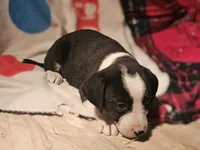 processed/b061dafd-19c4-4a4d-9ff3-c988b5916998/listing/a0caba20-f692-40ea-a225-998fe691f681/d94b53d2-fdbf-4975-aa19-e5d207a44892