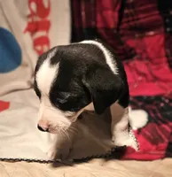 processed/b061dafd-19c4-4a4d-9ff3-c988b5916998/listing/a0caba20-f692-40ea-a225-998fe691f681/de7eb177-2f6a-423b-832f-209ec7e785b2