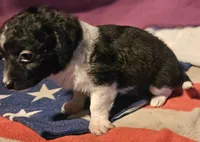 processed/b061dafd-19c4-4a4d-9ff3-c988b5916998/listing/ad1081f0-47ae-4db5-91ae-3bc16a7e6c48/29752896-c0e7-4861-9534-d7bdbf4e7ba5