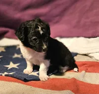 processed/b061dafd-19c4-4a4d-9ff3-c988b5916998/listing/ad1081f0-47ae-4db5-91ae-3bc16a7e6c48/7cfc7dce-96d7-429d-a8ed-293efe69d035