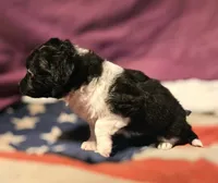 processed/b061dafd-19c4-4a4d-9ff3-c988b5916998/listing/ad1081f0-47ae-4db5-91ae-3bc16a7e6c48/b969edbc-2c07-418d-bf3a-9313d3090bae