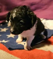 processed/b061dafd-19c4-4a4d-9ff3-c988b5916998/listing/ad1081f0-47ae-4db5-91ae-3bc16a7e6c48/cee17d6f-48db-4459-9457-94c45112a58d