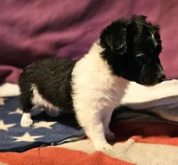 processed/b061dafd-19c4-4a4d-9ff3-c988b5916998/listing/ad1081f0-47ae-4db5-91ae-3bc16a7e6c48/e60a5aad-c0dd-4e9a-bad7-e5cb2086ac05