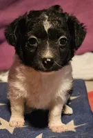 processed/b061dafd-19c4-4a4d-9ff3-c988b5916998/listing/ad1081f0-47ae-4db5-91ae-3bc16a7e6c48/ed12adc5-0067-4a00-b351-c1e6e25eb8ec