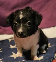 processed/b061dafd-19c4-4a4d-9ff3-c988b5916998/listing/ad1081f0-47ae-4db5-91ae-3bc16a7e6c48/f565f855-1888-4822-a4eb-895a928b2f8d