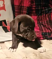 processed/b061dafd-19c4-4a4d-9ff3-c988b5916998/listing/bb7643ad-54b5-4415-9557-c231937e87b9/1a2f4cf8-3896-474f-ad72-882f9a97f012