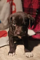 processed/b061dafd-19c4-4a4d-9ff3-c988b5916998/listing/bb7643ad-54b5-4415-9557-c231937e87b9/1b441c02-45db-437d-9aa0-21fd16dc512a