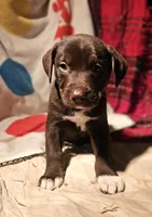 processed/b061dafd-19c4-4a4d-9ff3-c988b5916998/listing/bb7643ad-54b5-4415-9557-c231937e87b9/5dc8187f-04c1-4628-afd4-6b532ce2b54c