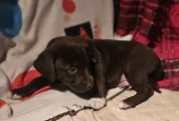 processed/b061dafd-19c4-4a4d-9ff3-c988b5916998/listing/bb7643ad-54b5-4415-9557-c231937e87b9/ccfe324d-a16d-4c6c-b352-2674c1763594