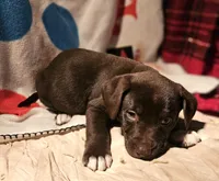 processed/b061dafd-19c4-4a4d-9ff3-c988b5916998/listing/bb7643ad-54b5-4415-9557-c231937e87b9/cfba08c3-4171-4ae0-9876-20371c6bb380