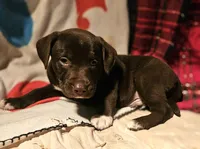 processed/b061dafd-19c4-4a4d-9ff3-c988b5916998/listing/bb7643ad-54b5-4415-9557-c231937e87b9/e0f5688e-c20f-4e18-a31f-2786c21c5976