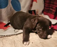 processed/b061dafd-19c4-4a4d-9ff3-c988b5916998/listing/bb7643ad-54b5-4415-9557-c231937e87b9/eb7664cc-bf95-4594-ab6a-fdcf29777896