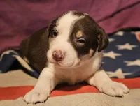 processed/b061dafd-19c4-4a4d-9ff3-c988b5916998/listing/e870ddc7-1151-4221-ad1e-3b7ed4468838/1301634c-78b0-4170-95a8-ead1fbbe6532