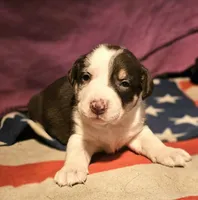 processed/b061dafd-19c4-4a4d-9ff3-c988b5916998/listing/e870ddc7-1151-4221-ad1e-3b7ed4468838/5a7acd50-e2ec-4c09-bddc-d63d12f6e7e5