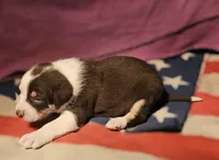 processed/b061dafd-19c4-4a4d-9ff3-c988b5916998/listing/e870ddc7-1151-4221-ad1e-3b7ed4468838/b90eddc2-a00c-4fa3-8ab3-a59a6f398104