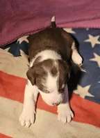 processed/b061dafd-19c4-4a4d-9ff3-c988b5916998/listing/e870ddc7-1151-4221-ad1e-3b7ed4468838/c0495e20-296d-4445-8832-3e540abbd27a