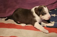 processed/b061dafd-19c4-4a4d-9ff3-c988b5916998/listing/e870ddc7-1151-4221-ad1e-3b7ed4468838/ebb6c08e-1382-4b34-8ebc-01457e90b73c