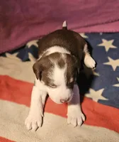 processed/b061dafd-19c4-4a4d-9ff3-c988b5916998/listing/e870ddc7-1151-4221-ad1e-3b7ed4468838/ff98218d-9728-4e98-82af-db42724f57a7