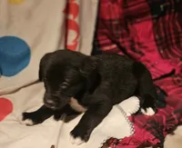 processed/b061dafd-19c4-4a4d-9ff3-c988b5916998/listing/fc1cb042-4a0a-46b5-aeb6-281f339ca819/595f6d0f-92ad-4019-859a-7fe993595547