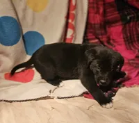 processed/b061dafd-19c4-4a4d-9ff3-c988b5916998/listing/fc1cb042-4a0a-46b5-aeb6-281f339ca819/74d06138-0ba3-44cb-8687-d5afad271e9f